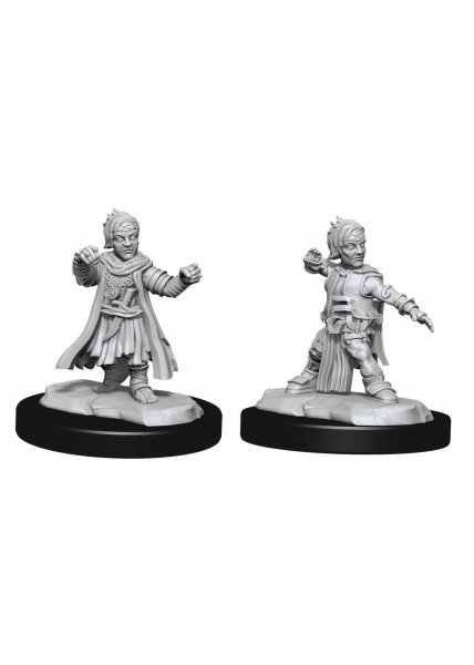 Pathfinder Unpainted Miniatures: Male Halfling Monk